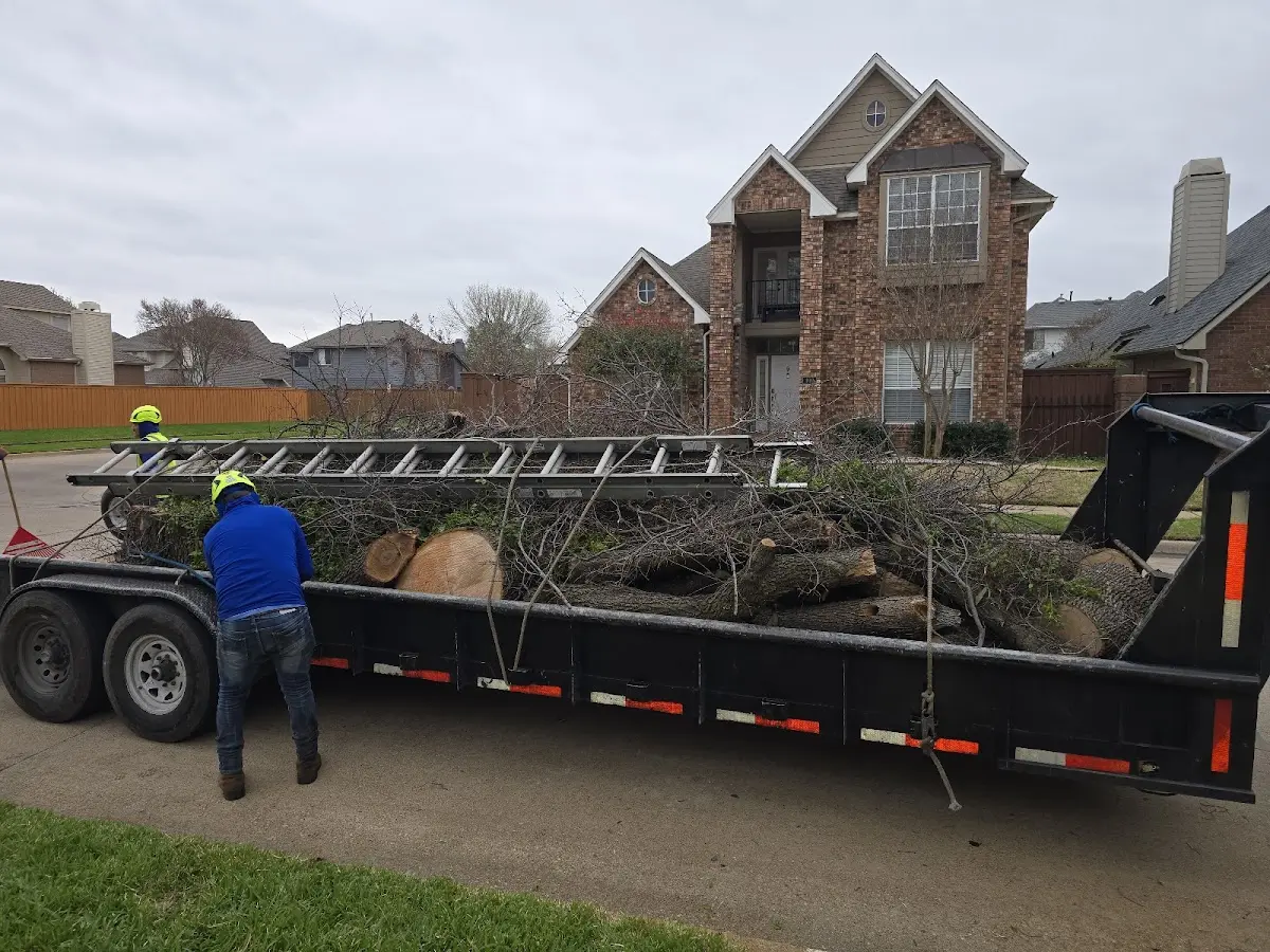 Expert Tree Fertilization with proper safety equipment in Beatty